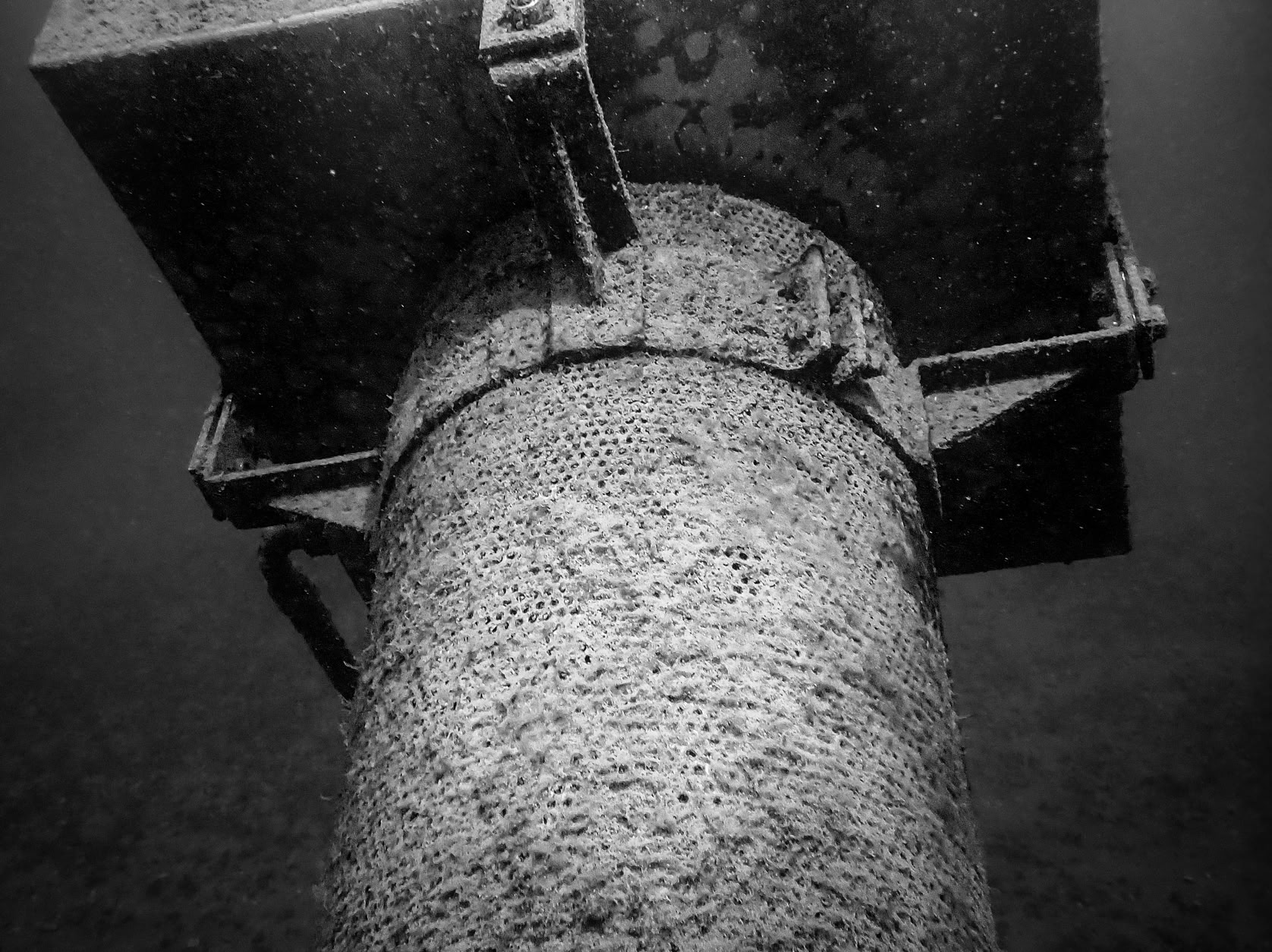 Crépine sans moules quagga après 6 mois passée dans l'eau